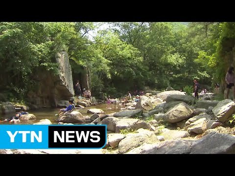 주말 내내 무더위, 계곡에는 피서객 북적 / YTN (Yes! Top News)