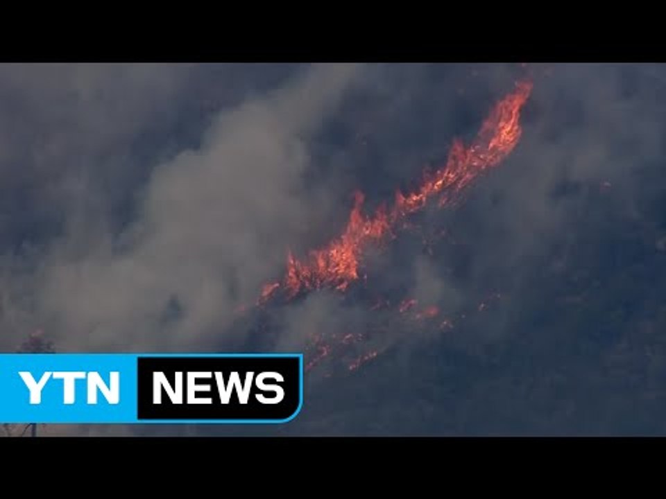 캘리포니아 산불, 강풍 타고 5일째 번져 / YTN (Yes! Top News)