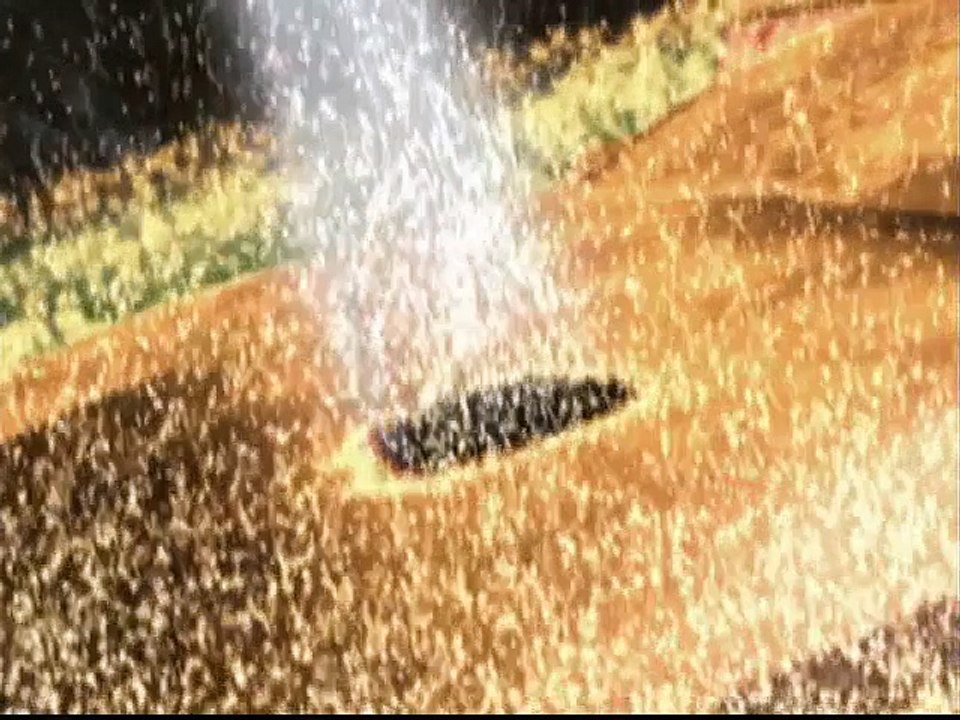 Starship Troopers Chronicles (1999) - 05 - Zephyr (Parte 2/2)