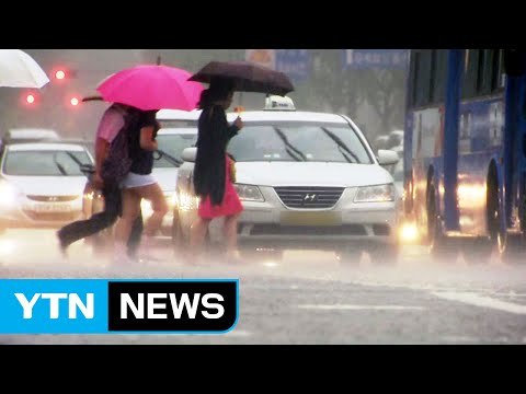 [날씨] 전국 장맛비, 국지성 호우...내일 소강 / YTN (Yes! Top News)