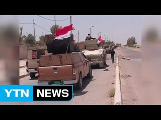 이라크, IS로부터 팔루자 완전 탈환 선언 / YTN (Yes! Top News)