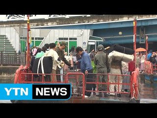 60년 넘게 그린 북녘 고향..."실향민 애환 나눠요" / YTN (Yes! Top News)