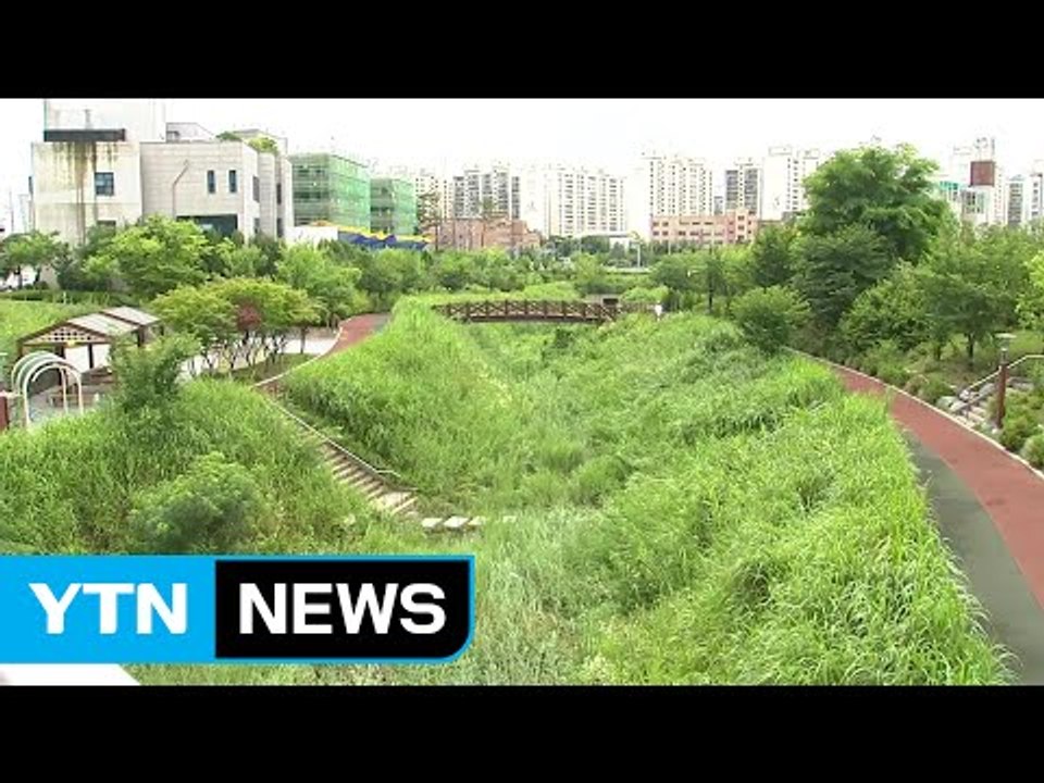 의정부 하천 50대 물에 빠져 숨진 채 발견 / YTN (Yes! Top News)