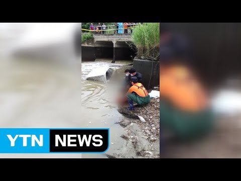 폭우에 하천 수문 열자 차량서 40대 남성 숨진 채 발견 / YTN (Yes! Top News)
