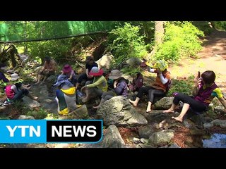 수도권 갠 날씨 속 숲향기 재충전 / YTN (Yes! Top News)