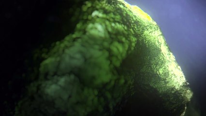 For Honor - Season 4 - Order & Havoc _ Cinematic Reveal Trailer _ Ubisoft [US]-Kto_8wwODCc