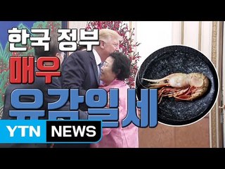 [자막뉴스] 일본, 이용수 할머니와 독도새우에 '발끈' / YTN