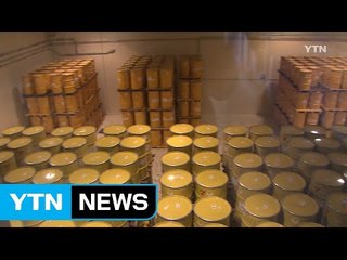 [중점] 사용 후 핵연료 운반 사고 보험 '고작 2천만 원' / YTN