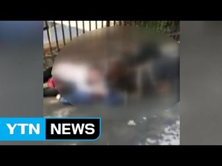 [영상] 목줄 없는 맹견으로부터 손자 지키려는 할머니 / YTN