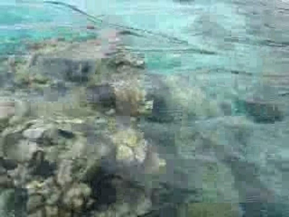 Moorea 1