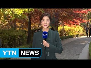 [날씨] 깊어가는 가을, 전국 쾌청...도심 단풍 절정 / YTN
