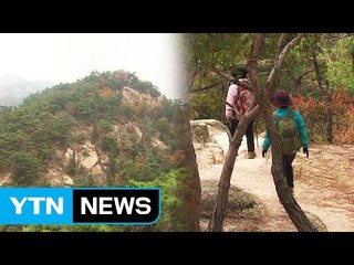 몰려드는 탐방객,  몸살 앓는 국립공원 / YTN