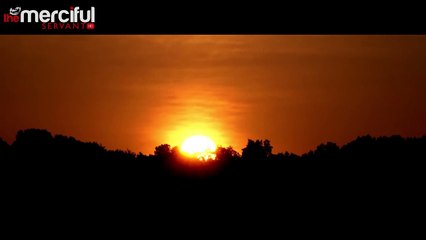 Divine Light - MercifulServant Reminders