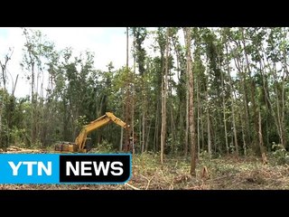 "2020년까지 한국 면적 2배 산림 조성" / YTN