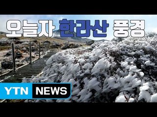 [자막뉴스] '상고대 장관' 10월 한라산 풍경 / YTN