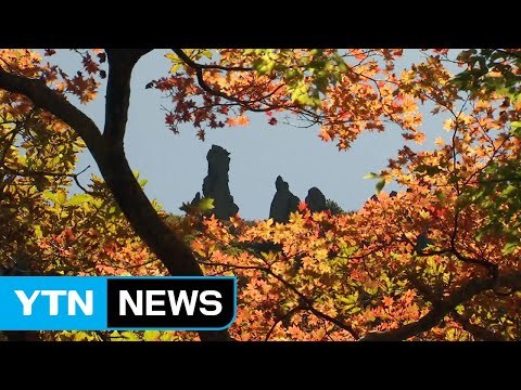 한라산 단풍 절정...주말 5천 명 찾아 / YTN