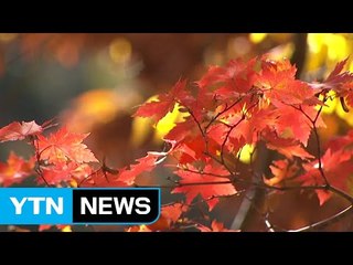 [날씨] 쾌청한 주말...다음 주 초 추위 온다 / YTN