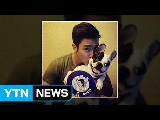 "우리 개, 녹농균 없다"...최시원 개 사건 이젠 책임공방 / YTN
