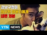 [자막뉴스] 강남구청이 최시원 아버지에게 내린 처분 / YTN