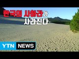 [자막원고] '한국의 사하라'가 사라진다 / YTN