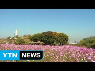 [날씨] 출근길 곳곳 안개주의보...낮 동안 쾌청한 가을 / YTN