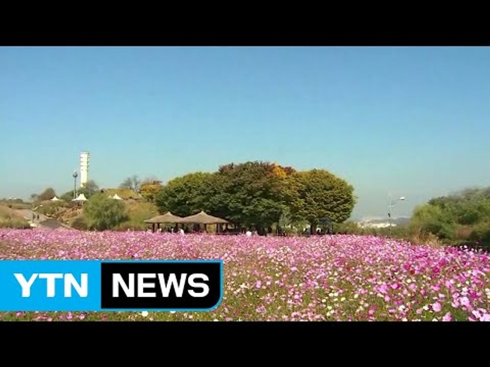 [날씨] 출근길 곳곳 안개주의보...낮 동안 쾌청한 가을 / YTN