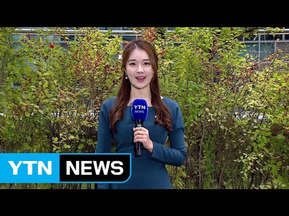 [날씨] 낮동안 구름 많고 선선...중서부 미세먼지↑ / YTN