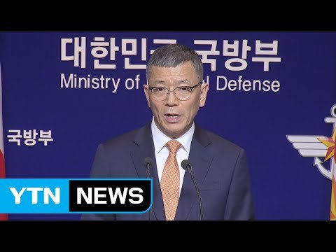 한·미 사드 배치 결정...늦어도 내년 말 실전 운용 / YTN (Yes! Top News)