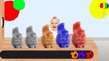 Learn Colors with Colorful Cats Soccer Balls WOODEN HAMMER Funny Cartoon for Kids Toddlers Babies