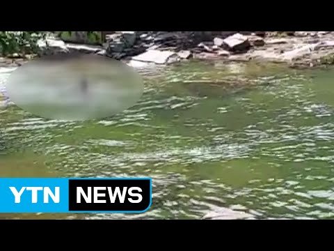 괴산 계곡에서 물놀이하던 20대 물에 빠져 중태 / YTN (Yes! Top News)