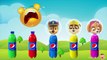 Learn Colors with Paw Patrol Pepsi Bottle - Wrong Heads