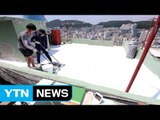 [좋은뉴스] 시원한 지붕 위한 고등학생들의 자원봉사 / YTN (Yes! Top News)