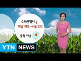 [날씨] 수도권 폭염 기승...충청 이남 지방은 비 / YTN (Yes! Top News)