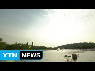 [날씨] 남해안·제주도 장맛비...내륙은 여전히 무더위 / YTN (Yes! Top News)