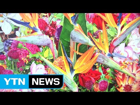 가짜와 진짜를 섞어 꽃꽂이 하는 남자 / YTN (Yes! Top News)
