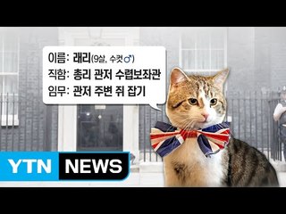 "반갑다옹"...英 총리는 교체·'고양이 보좌관'은 유임! / YTN (Yes! Top News)