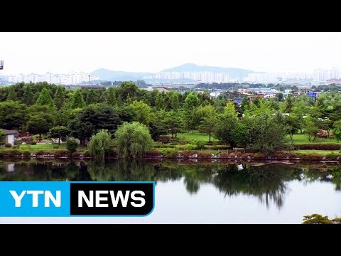 [날씨] 밤사이 전국 장맛비...내일 120mm 호우 / YTN (Yes! Top News)