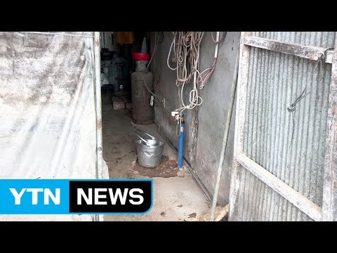 지적장애인 축사에서 12년 강제 노역...경찰 수사 / YTN (Yes! Top News)