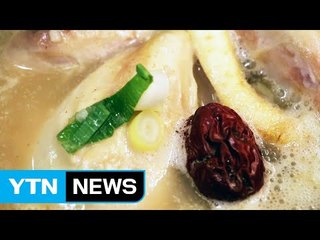 '삼계탕'은 알겠는데...'계삼탕'을 아시나요? / YTN (Yes! Top News)