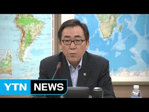 정부 터키 공항 발 묶인 우리 국민 안전 확인 ...긴급 점검 회의 / YTN (Yes! Top News)