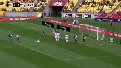 Wellington Phoenix 0:1 Perth Glory (Australian A-League. 12 November)