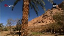 Dünya'nın Harikaları - Mısır, Sina Çölü