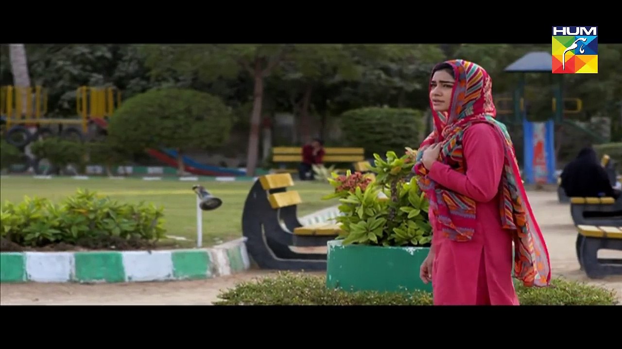 Thori Si Wafa Episode 66 HUM TV Drama  14 November 2017
