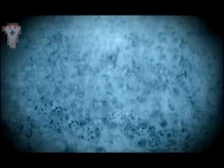 Rotterdam School Project