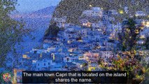 Top Tourist Attractions Places To Visit In Italy | Capri Destination Spot - Tourism in Italy