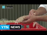 '장인'이 만드는 소시지 / YTN (Yes! Top News)