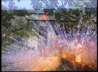 Crime Inc   The Killing Field