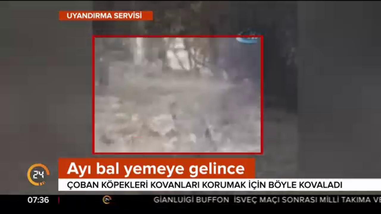 Aç kaldı