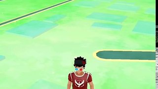 Pokémon GO Gym APOCALYPSE New Top 10 Pokemon to Power up for gym rework (personal opinion)