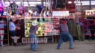 EL DOLAR VOLANDO ALTO! 12 TORAZOS DE RANCHO EL AGUAJE RELICARIO MORELIA 2017